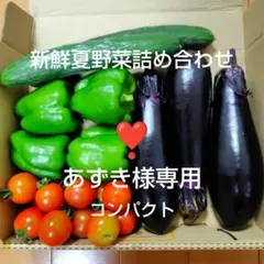 【あずき様専用】ミニトマトのセット★コンパクトBOX２個★60サイズのサムネイル
