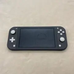 Nintendo Switch Lite 本体 グレー HDH-001