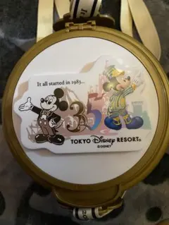 ポップコーンバケット　ディズニー35周年　アトラクション　希少　レア ポップコーンバケット ディズニー35周年 アトラクション 希少 レア