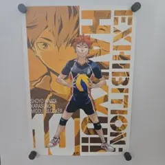 ハイキュー!! 展 ポスター 日向翔陽