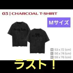 straykids スキズ ATE T シャツ チャコール ワルツ シンガポール
