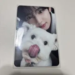 ゼベワン タワレコ 特典 トレカ ユジン デジパ 犬 レオ
