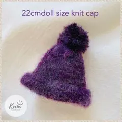 No.1358 22cmドールサイズ ニットキャップ