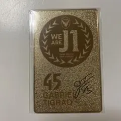 V・ファーレン長崎　ガブリエル　チグロン選手　昇格記念ゴールドメタルカード　①