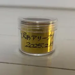 Item thumbnail for item d0b7225a-f65e-46ad-ba31-73e1665ae3e1