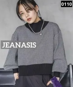 0110 JEANASIS Wフェイスフトリブショートハイネック ブラック