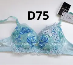 ワコール/サルート 46G マダガスカル 新品タグ付 フロントエックスブラD75