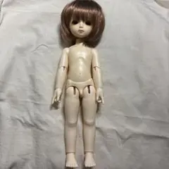 2025年最新】rosen 火曜子の人気アイテム - メルカリ