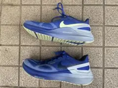 NIKE ストラクチャー25 ブルー 27cm