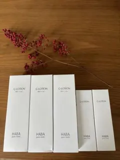 HABA Gローション　詰め合わせ　BIG×3本、レギュラー×2本