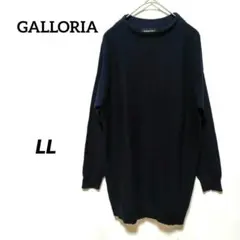 Item thumbnail for item 1ede54d2-cccf-4b24-b01c-ec9226d1ccd6