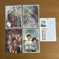 ハイキュー‼︎ポストカード　音駒