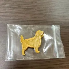 ゴールデンレトリバー　クリップ