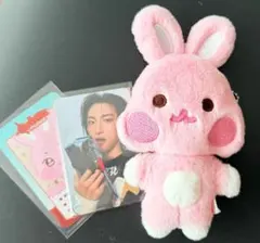 ANITEEZ FLAT-FUR PLUSH トンビョリ - メルカリ