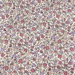 Item thumbnail for item c70b02b8-fc09-450e-9d20-7b45e2fffd61