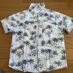 ZARA BOYS 半袖シャツ 116サイズ パームツリー柄