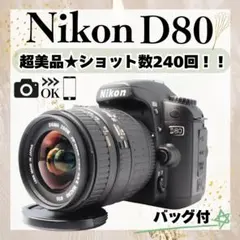 ⭐ショット数少な目⭐スマホ転送セット付き⭐Nikon D40 レンズセット