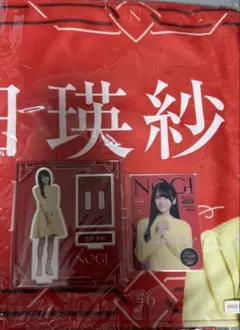 乃木坂46 のぎBOX 池田瑛紗 アクリルフォトパネル モバカ ノーマル