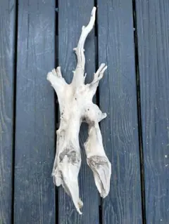 Item thumbnail for item a07520f7-e274-4fe6-bed6-4e0122428cb9