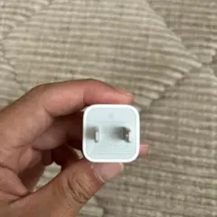 正規品 iPhone アダプタ Apple 充電器 コンセント