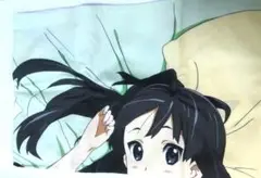 レアな商品けいおん! 秋山澪枕カバー