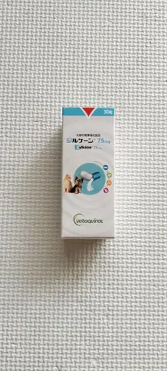 Item thumbnail for item b07da24a-9416-445b-bdd6-f0ed20847e42