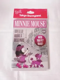 ディズニー　ミニー　メモ帳セット