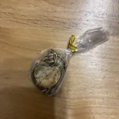 Item thumbnail for item 4ff47aab-3fea-43eb-bb0c-b8f4b93da26c