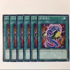多様進化【テコ】