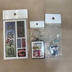 住之江競艇限定 ネームプレートキーホルダー ボートレース 池田 馬場