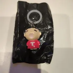 サンリオオールスターズ めじるしアクセサリー 【みんなのたあ坊】 キャラクターズ