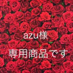 ❣️❣️azu様ご注文商品です❣️❣️