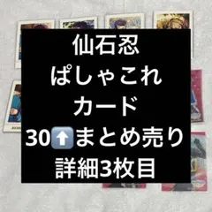 仙石忍 ぱしゃこれ まとめ売り カード類