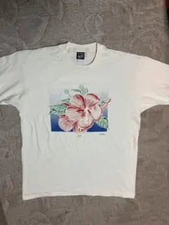 週末限定SALE‼️Fruit of the LoomハイビスシングルビンテージT