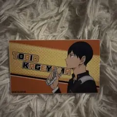 ハイキュー!! アクリルクリップ 影山飛雄