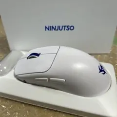 NINJUTSO TEN AIR