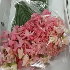 nico house様 リクエスト 3点 まとめ商品