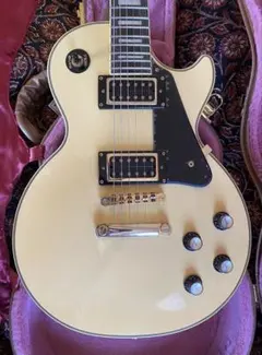 2025年最新】epiphone ハードケースの人気アイテム - メルカリ