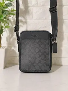 COACH ショルダーバッグ　即購入可
