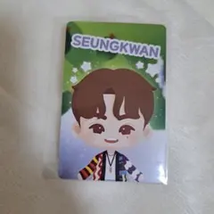 パズチ セブチ スングァン トレカ SEVENTEEN Holiday