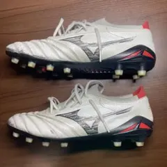 モレリアネオ4β 27cm