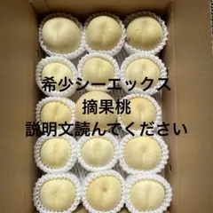 2025年最新】摘果桃の人気アイテム - メルカリ