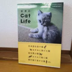 世界のcat life : everyday with cats
