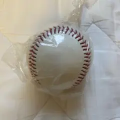 Item thumbnail for item 79e55501-215e-4157-869c-15988c3410b5