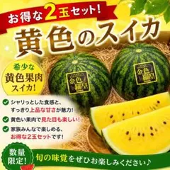 超希少 熊本県産 金色羅皇 黄色スイカ 約7kg - メルカリ