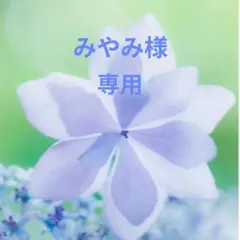 みやみ様専用　ブローチ2点