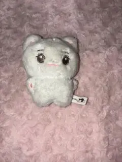 IVE レイ ぬいぐるみ 2026年最新】ive レイ ぬいぐるみの人気アイテム - メルカリ