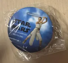 STAR WARS スカイウォーカーの夜明け マグネット レイ