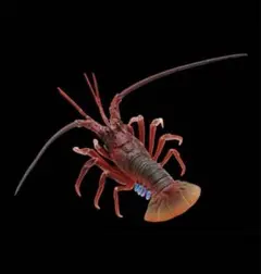 ネイチャーテクニカラー カプセルトイ