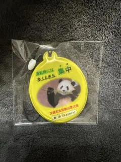 アドベンチャーワールド 彩浜 キーホルダー 交通安全